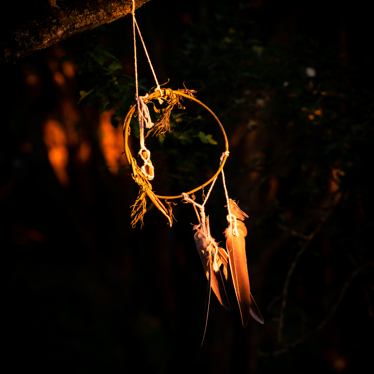 Dreamcatcher at sunset photo