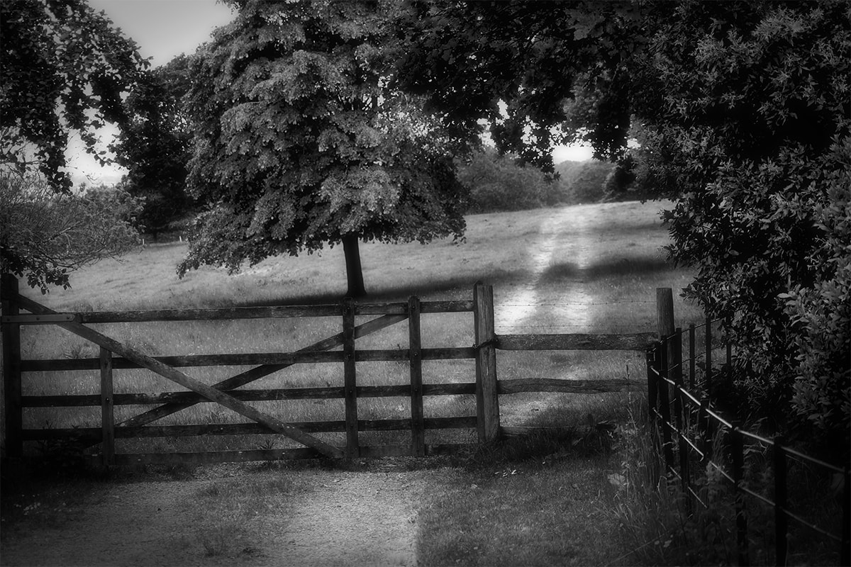 Black and white photo of a gate